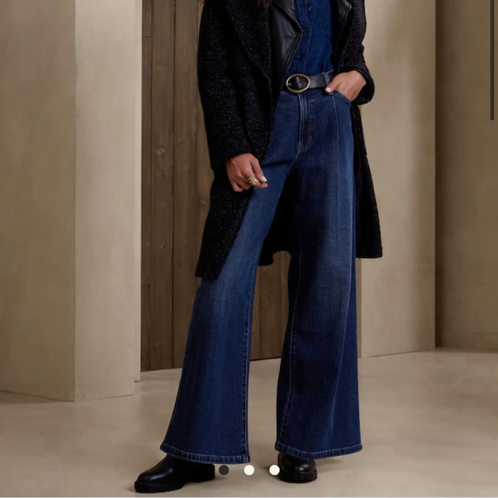 Women’s Banana Republic Pleated Wide Leg Jean